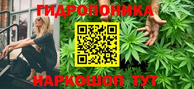 дурь Аргун
