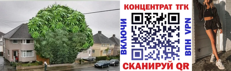 как найти закладки  Великий Устюг  ТГК концентрат 