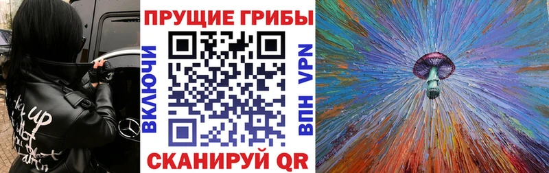 blacksprut вход  Великий Устюг  Галлюциногенные грибы ЛСД  наркотики 