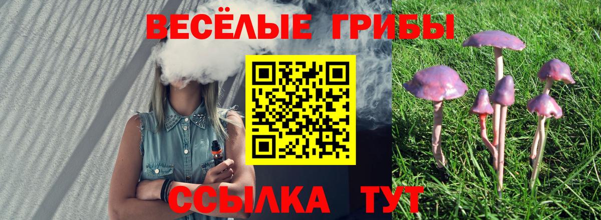 Кокаин  NBOMe  Конопля  Вход с VPN  МЕТАДОН  Гашиш  Великий Устюг  ГАШИШ  Меф МЯУ МЯУ  
