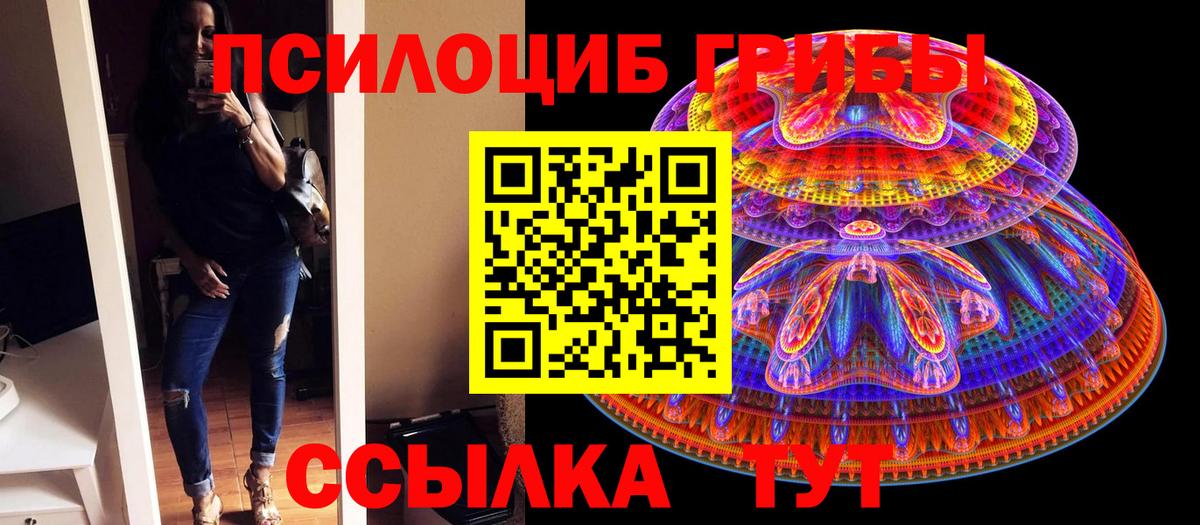 Галлюциногенные грибы мухоморы Великий Устюг