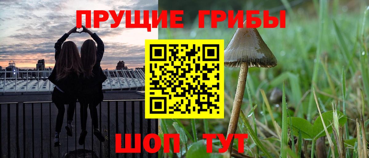 Псилоцибиновые грибы мухоморы Великий Устюг