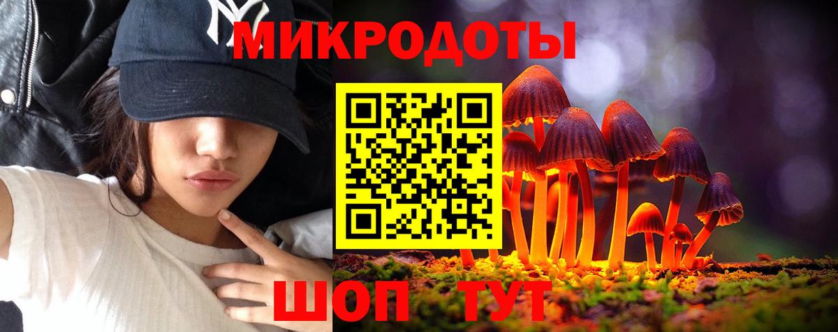 Великий Устюг  Псилоцибиновые грибы прущие грибы  Вход с VPN 