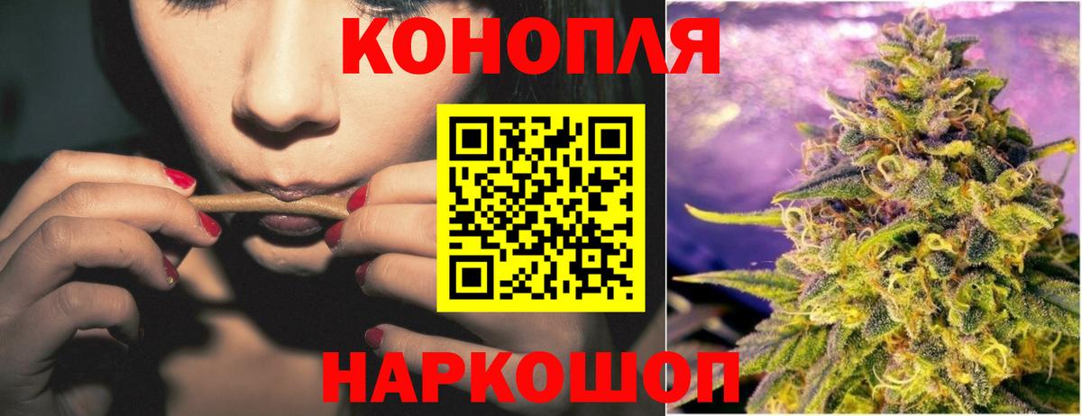 Бошки Шишки Ganja Великий Устюг
